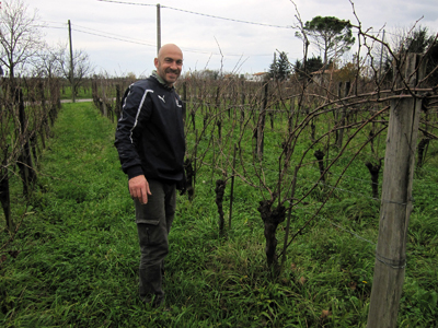 Denis Montanar in vigna