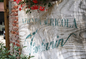 Azienda Agricola Funtanin