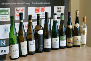 I vini in degustazione