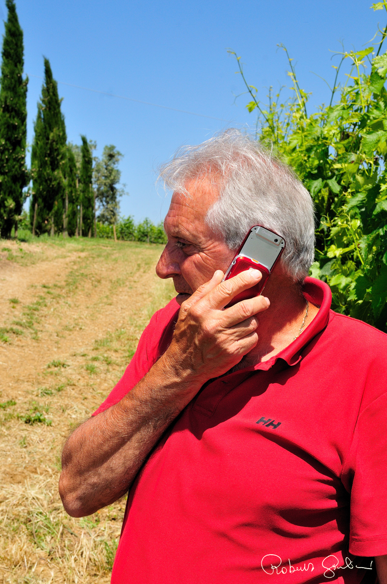 Giulio Salvioni in vigna