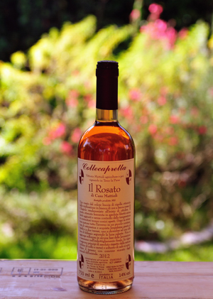 Il ROSATO DI CASA MATTIOLI 2012