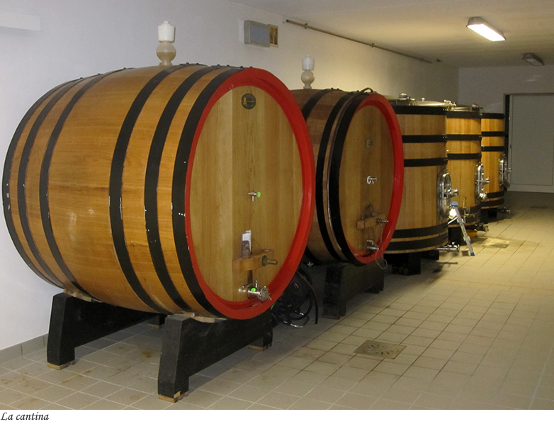 La cantina con le botti