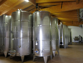 Le vasche d'acciaio presso la cantina Komjanc