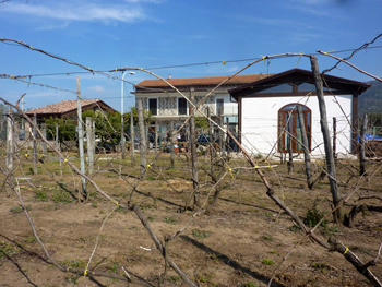 La Masserie vista dalla vigna