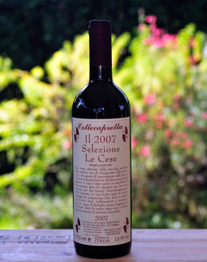 Selezione Le Cese 2007