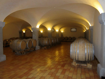 La bottaia della Tenuta Luisa