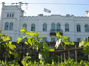 Particolare di Villa Russiz