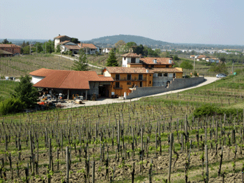 L'azienda di Roberto Picech