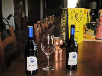 I vini di Roberto Picech