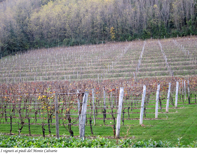 I vigneti ai piedi del monte Calvario