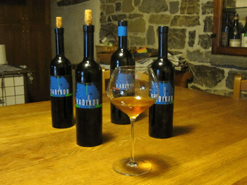 La produzione dell'azienda Radikon