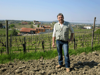 Roberto Picech in vigna