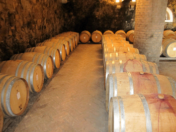 La cantina di Ronchi di Manzano