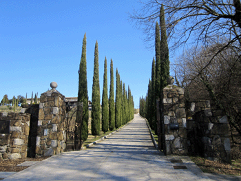 Il viale d'ingresso all'azienda Ronchi di Manzano