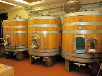 I tini tronco-conici dell'azienda Ronco Severo