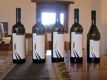 Roncus: bottiglie in degustazione