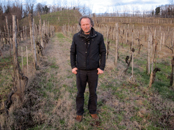 Marco Perco - Roncus