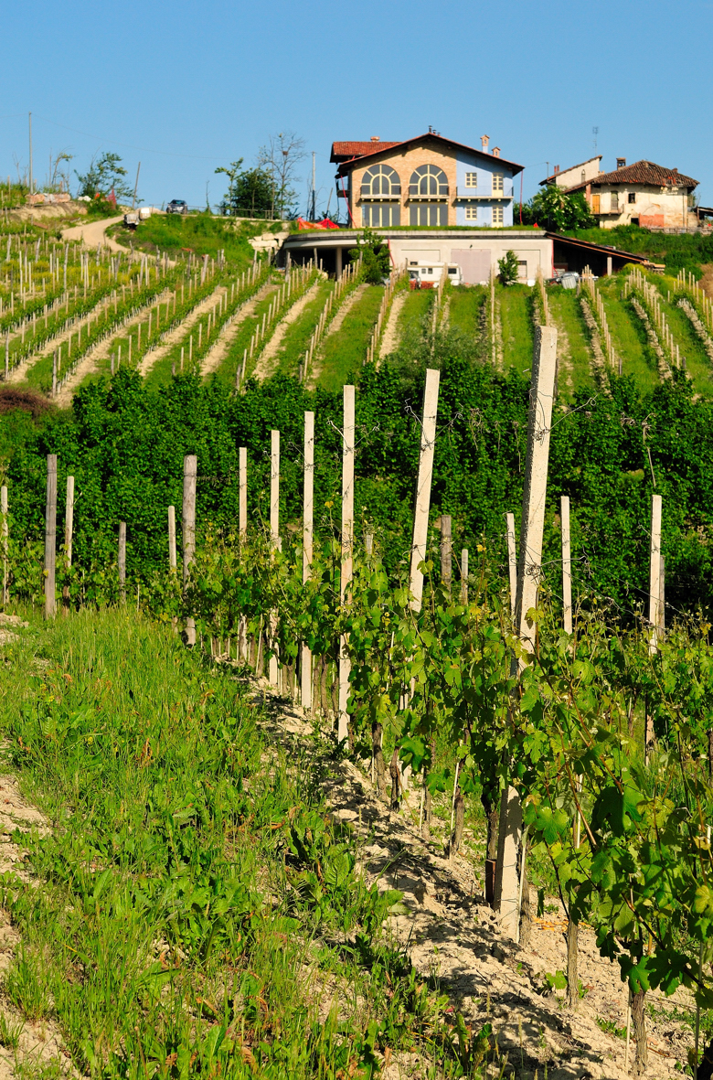 L'azienda di Simone Scaletta vista dai vigneti