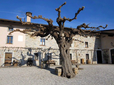 Il piazzale aziendale