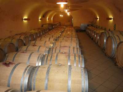 La cantina di Roberto Scubla