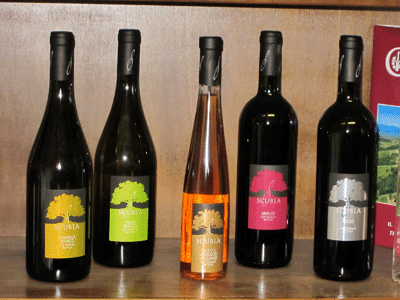 Alcune bottiglie prodotte nell'azienda Scubla