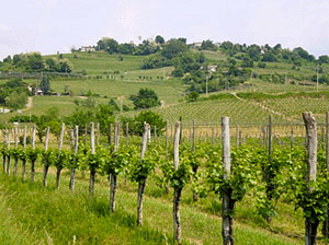 La collina di S.Floriano