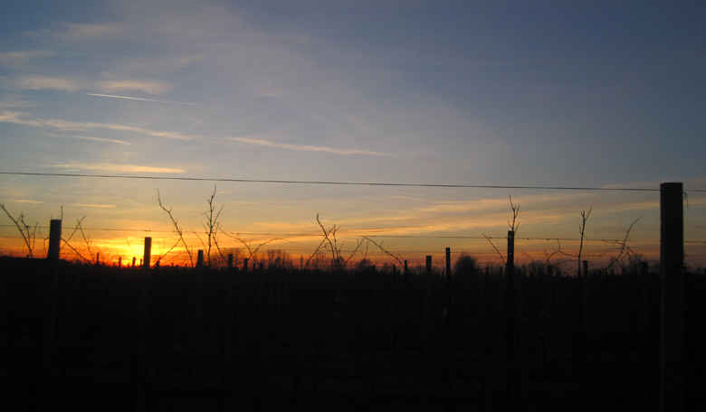 Tramonto sulle Greve