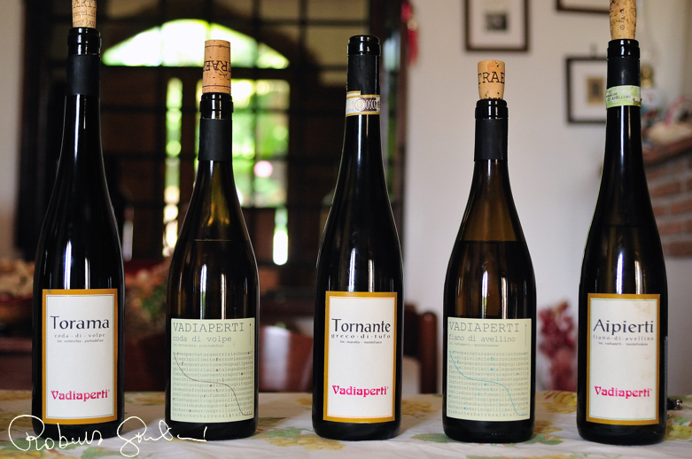 Alcuni vini di Vadiaperti