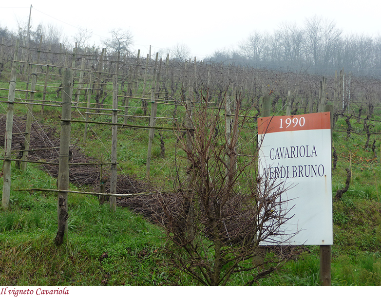 Il vigneto Cavariola
