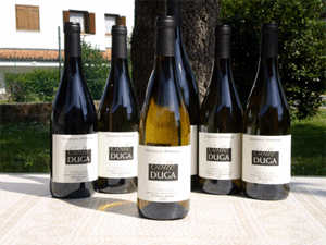 Vini Colle Duga