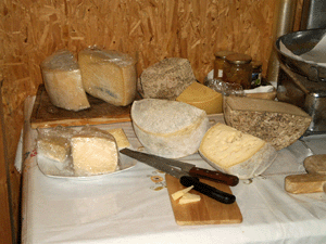 Zidarich - le varietà di formaggi