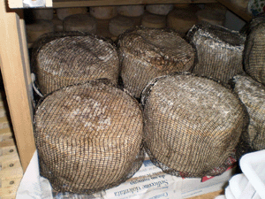 Zidarich - il formaggio Jamar