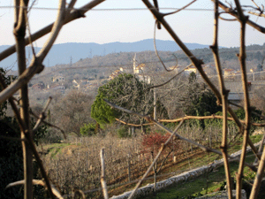 Scorcio fra le vigne