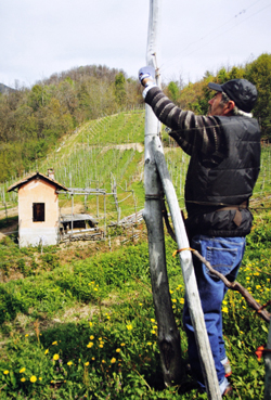 La preparazione dei tiranti