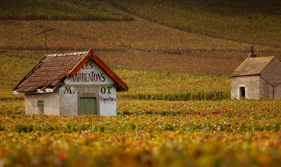 Immagine in Borgogna