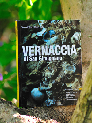 Vernaccia di San Gimignano