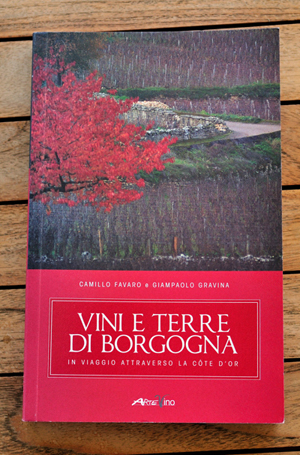 Vini e Terre di Borgogna