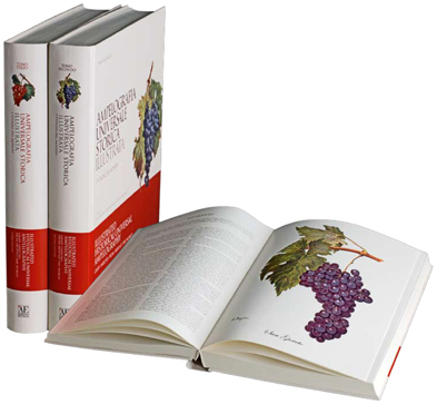 I 3 volumi dell'Ampelografia Universale