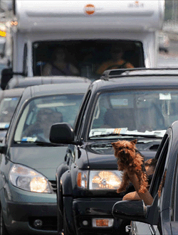 La classica fila in autostrada