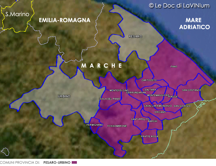Bianchello del Metauro