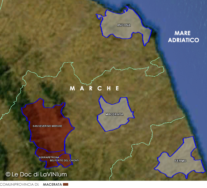 Vernaccia di Serrapetrona