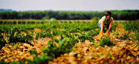 Cinzia Merli Campolmi: fotografia di Maurizio Gjivovich