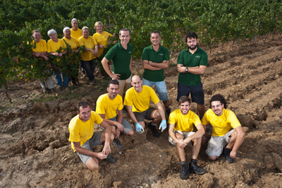 Le Macchiole: l'equipe in vigna