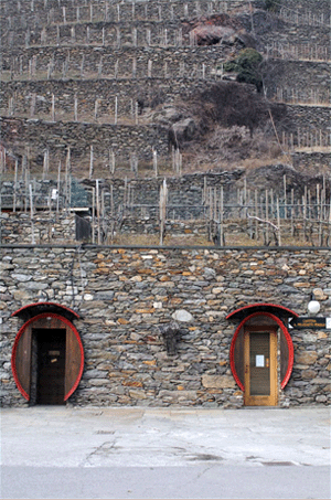 Entrata all'azienda AR.PE.PE.