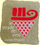 Strada del Vino Campi Flegrei