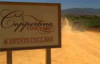 Coppertina Vineyard