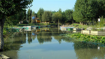 Pesce d'Oro Imbarcadero