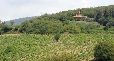 L'azienda Riecine - Toscana
