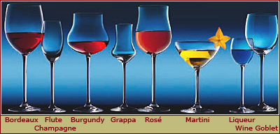 Schott Zwiesel - Linea Excelsior