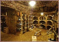 Cantina vini